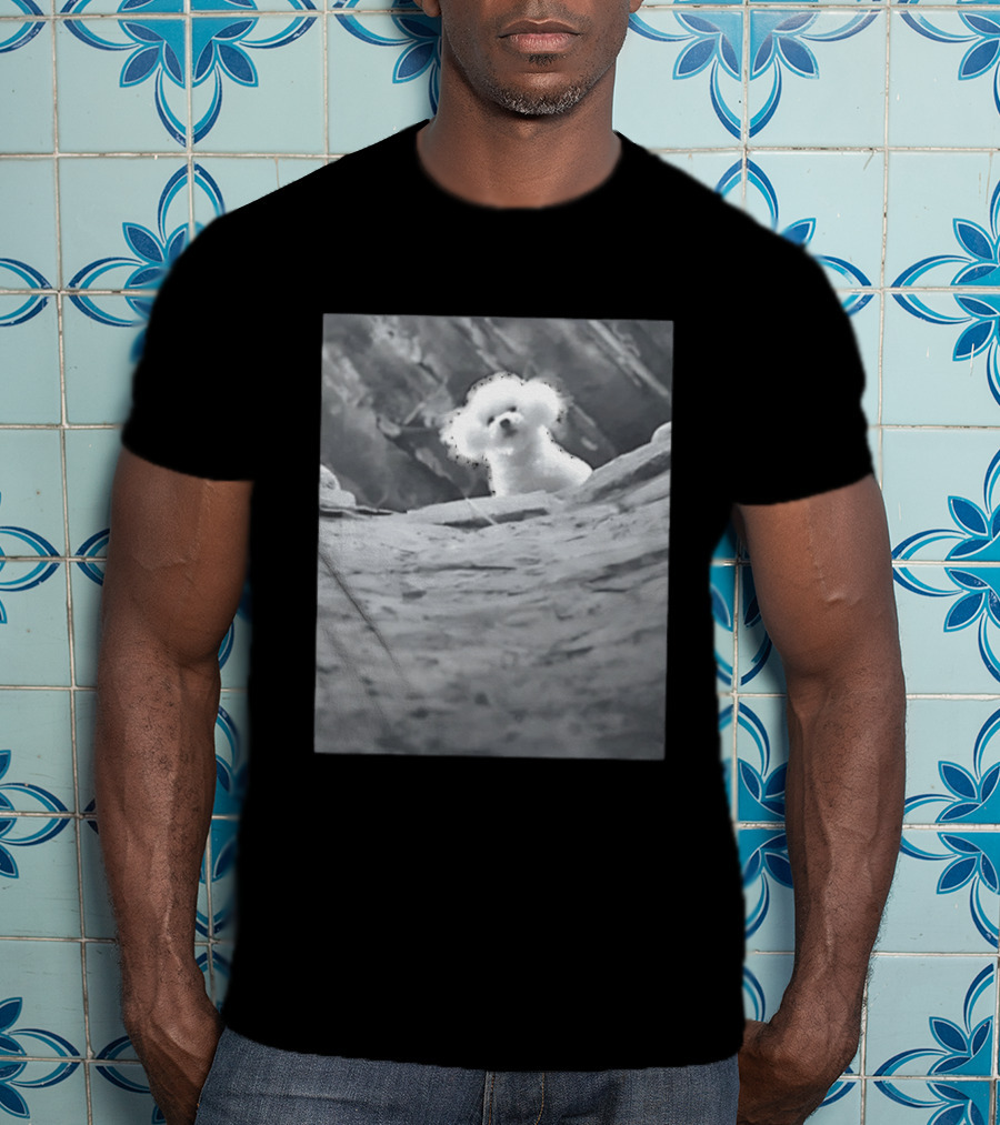 Peeking Fluffy Dog In Rocky Landscape T-Shirt