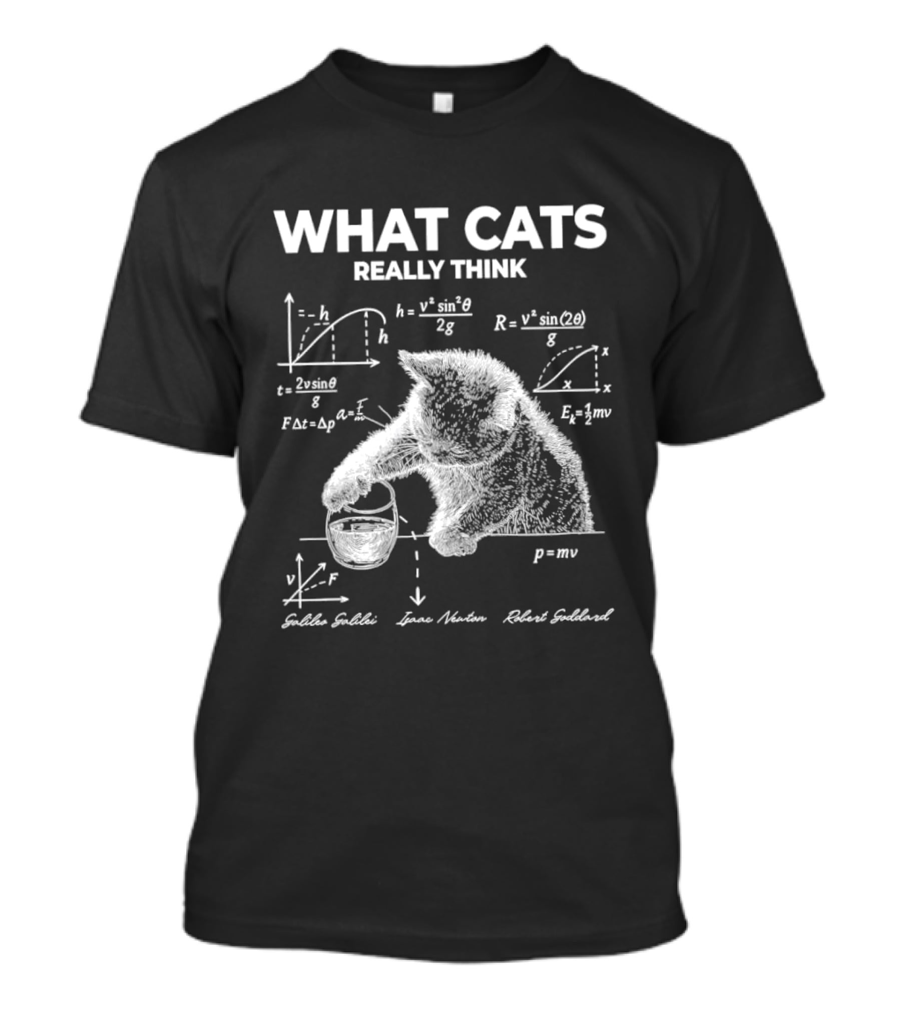 What Cats Really Think Physics Equations Feline Science T-Shirt