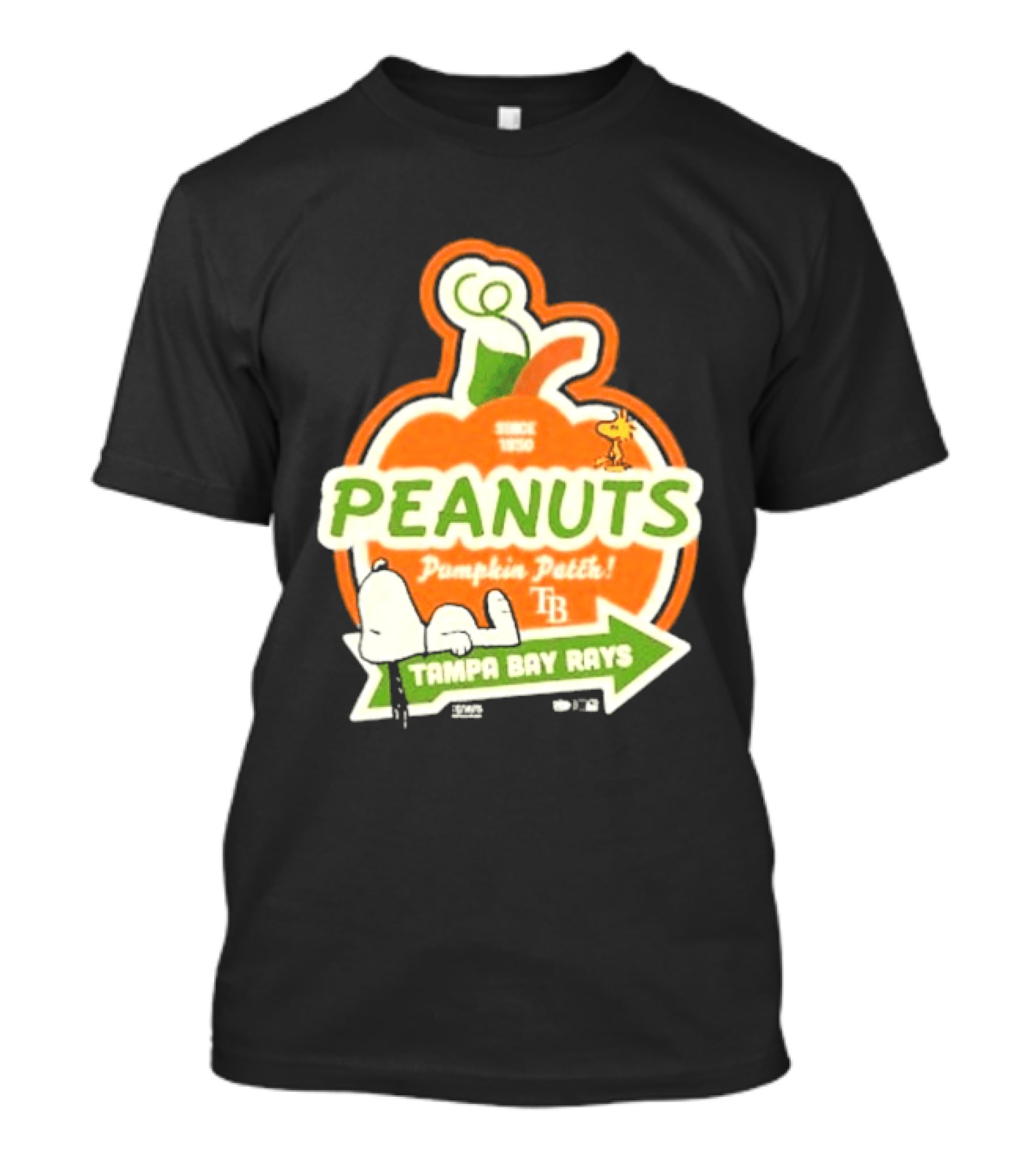 Tampa Bay Rays Peanuts Pumpkin Patch Since 1950 T-Shirt