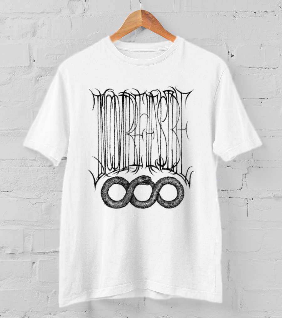 Big Thief Store Incomprehensible Longsleeve Indie Band Merch T-Shirt