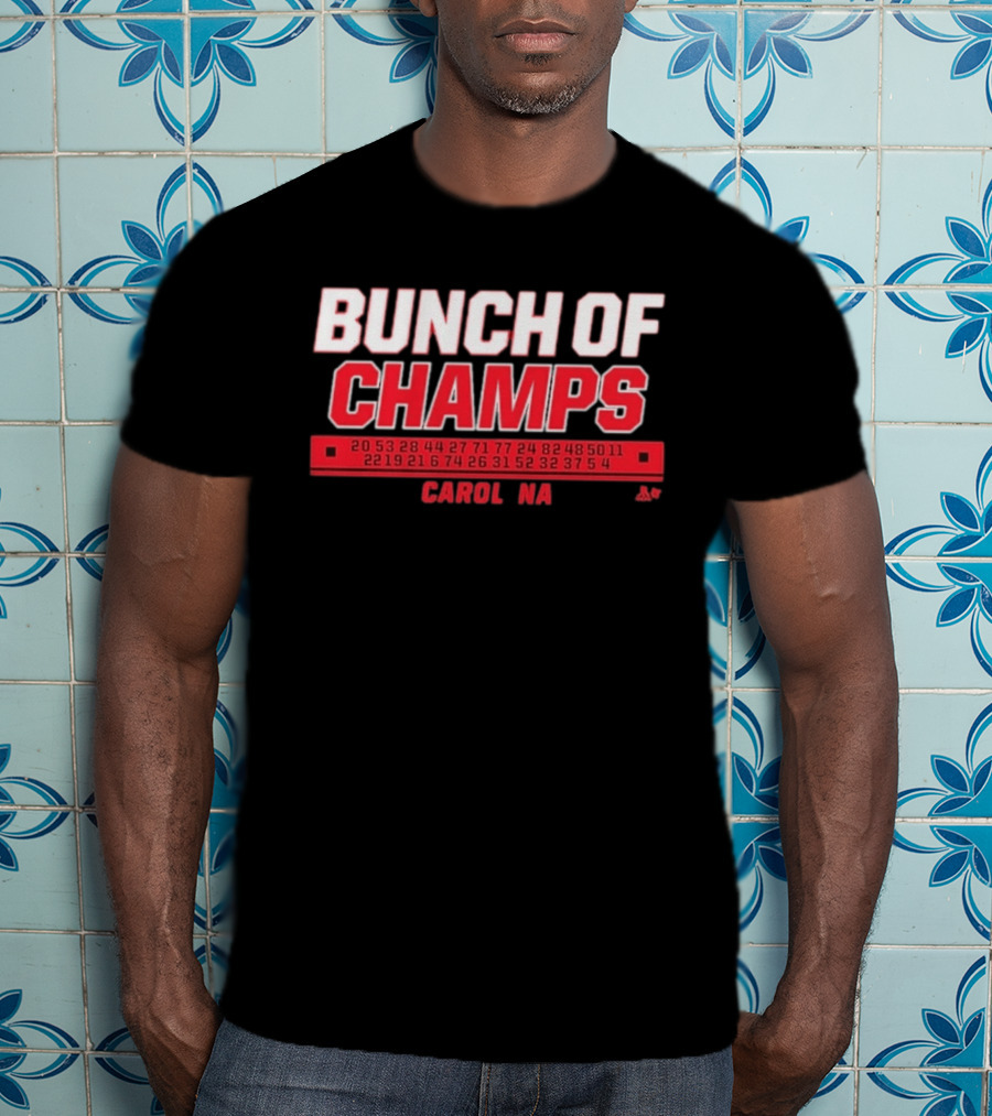 Bunch Of Champs Carolina Hockey Numbers Series T-Shirt