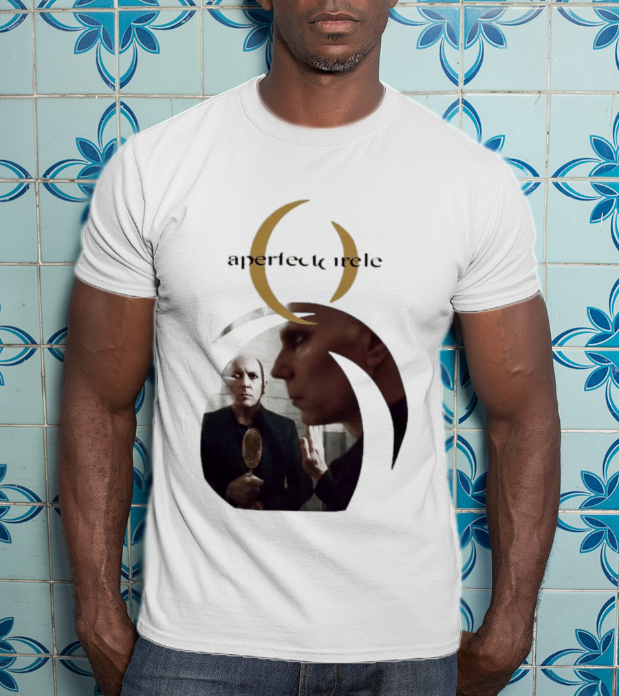 A Perfect Circle 2026 Tour Image With Band Members T-Shirt