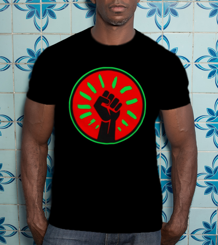 Pan African Flag Black Power Fist Resistance Unity Liberation T-Shirt