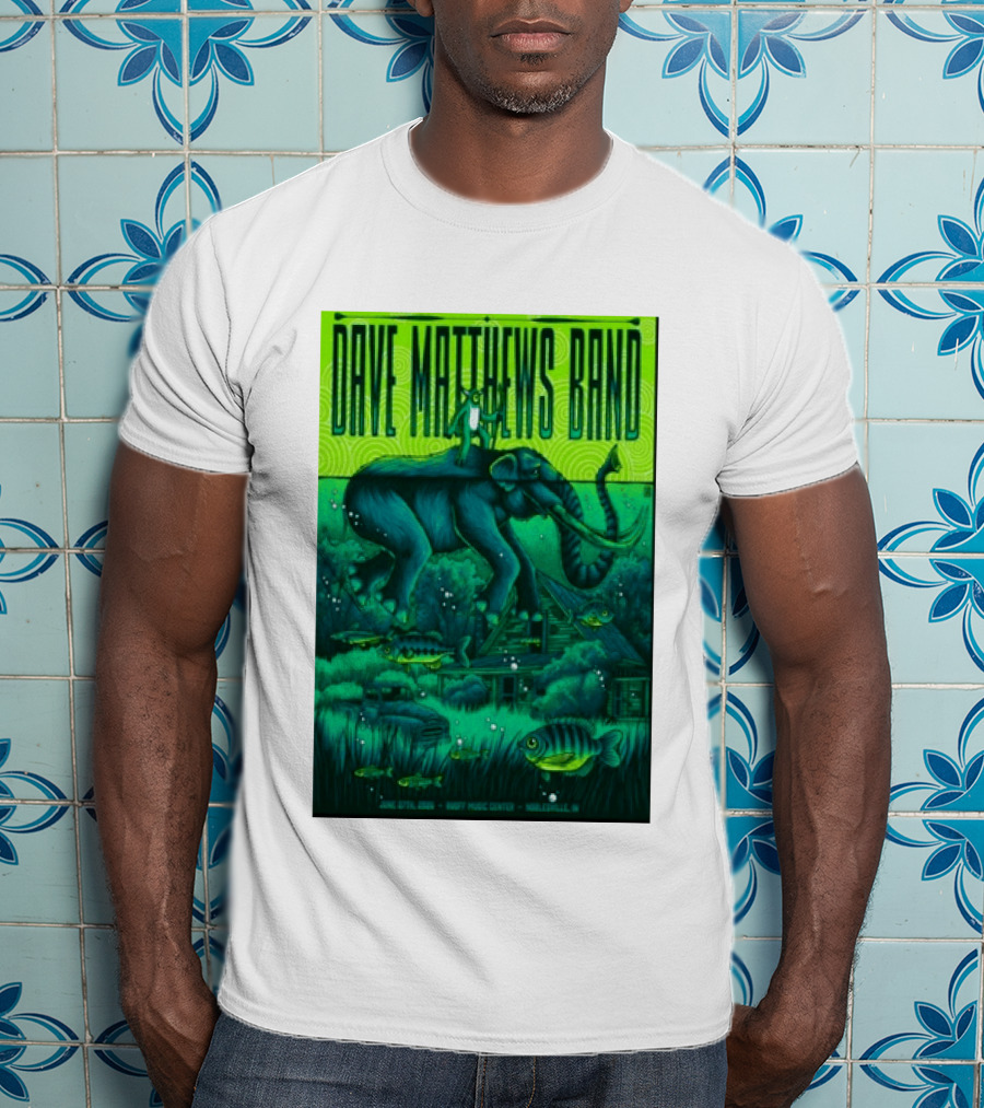 Dave Matthews Band Noblesville IN June 27 2026 Frog Elephant Lillypad Dreamscape T-Shirt