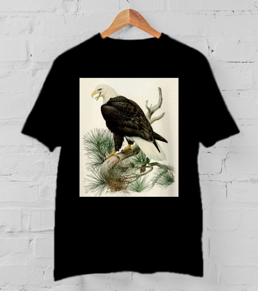 Roger Tory Peterson Bald Eagle Illustration On Stone Background 2026 T-Shirt