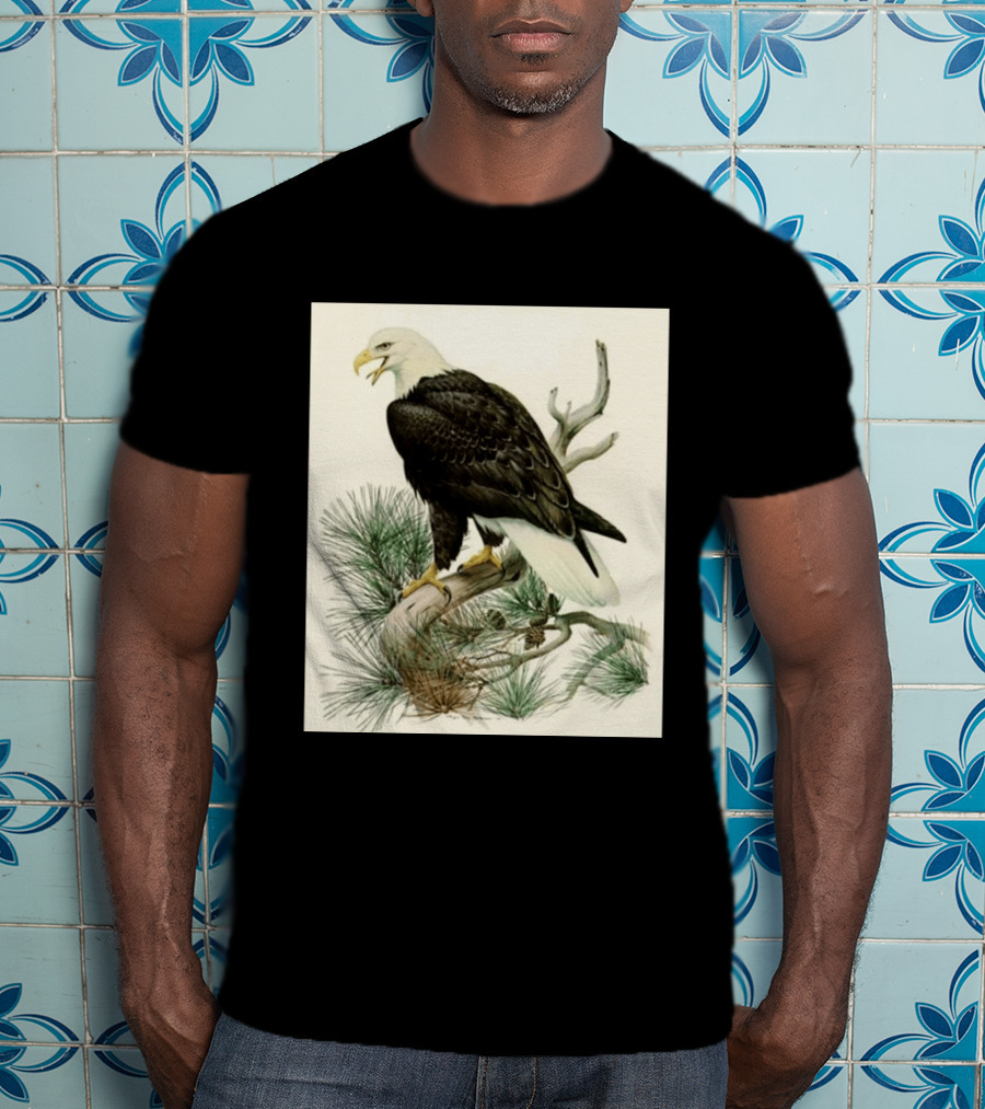 Roger Tory Peterson Bald Eagle Illustration On Stone Background 2026 T-Shirt