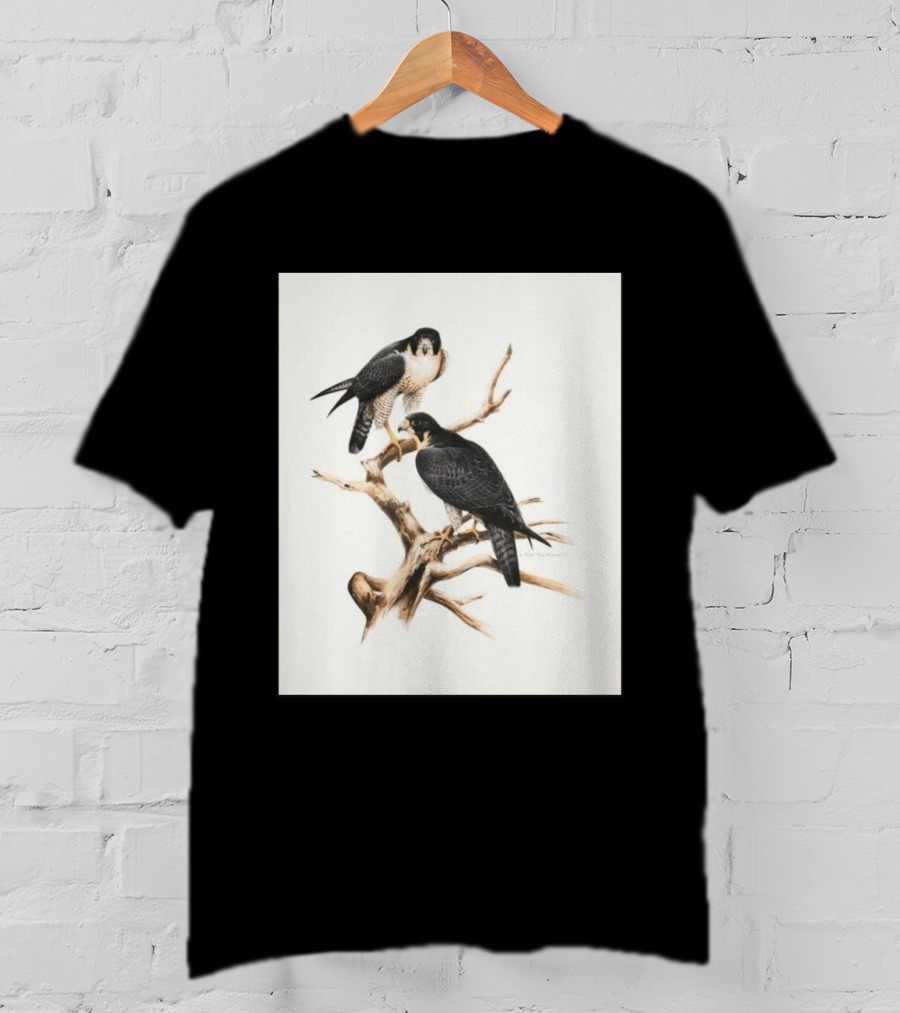 Roger Tory Peterson Peregrines 2026 Adult Ash Bird T-Shirt