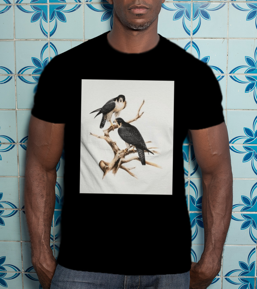 Roger Tory Peterson Peregrines 2026 Adult Ash Bird T-Shirt