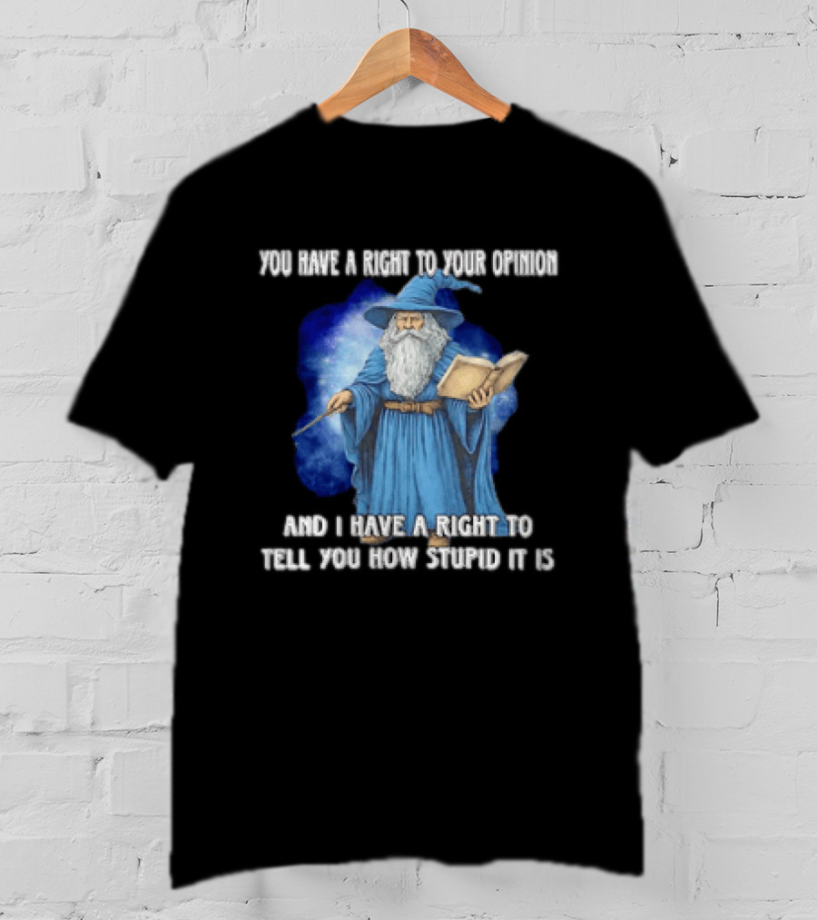 Wizard You Have A Right To Your Opinion And I Have A Right To Tell You How Stupid It Is T-Shirt