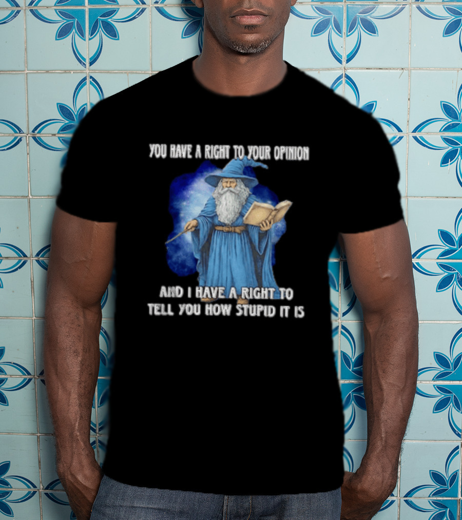 Wizard You Have A Right To Your Opinion And I Have A Right To Tell You How Stupid It Is T-Shirt