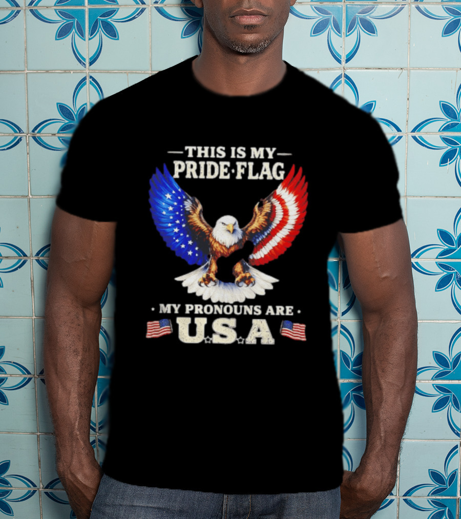 This Is My Pride Flag American Eagle My Pronouns Are USA T-Shirt