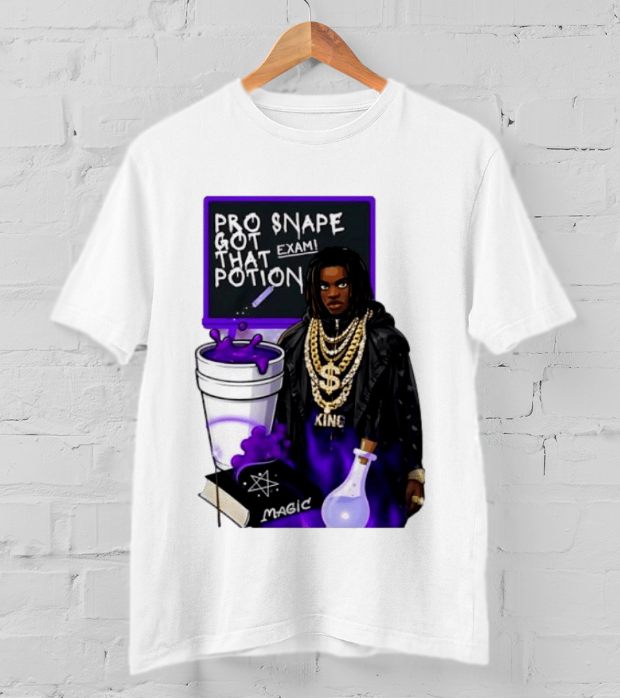 Professor Snape Got That Potion Magic Exam Meme T-Shirt