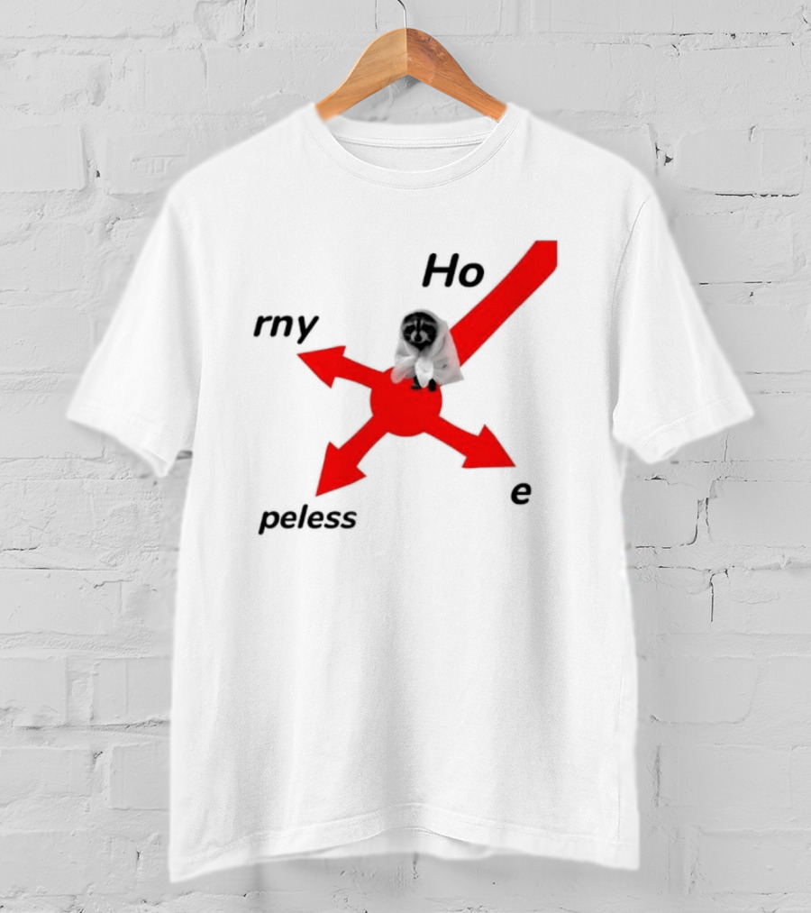 Raccoon Meme Ho Rny Peless Compass T-Shirt