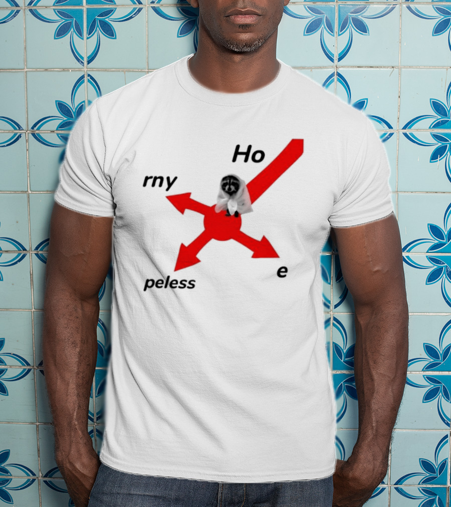 Raccoon Meme Ho Rny Peless Compass T-Shirt