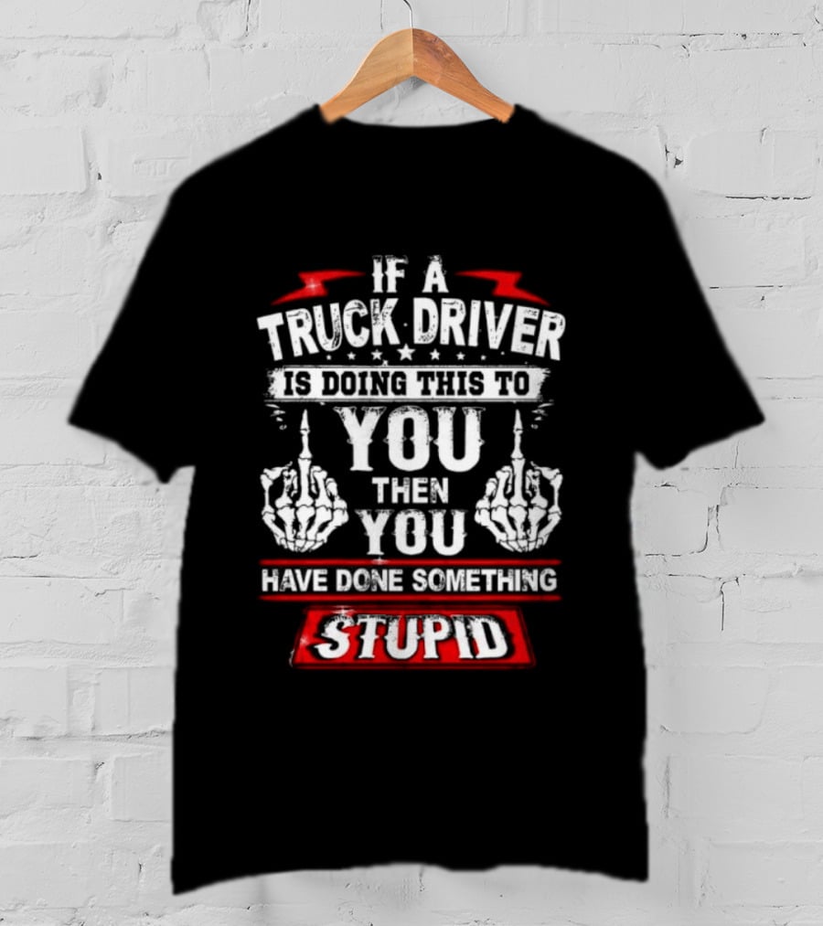 If A Truck Driver Is Doing This To You Then You Have Done Something Stupid T-Shirt