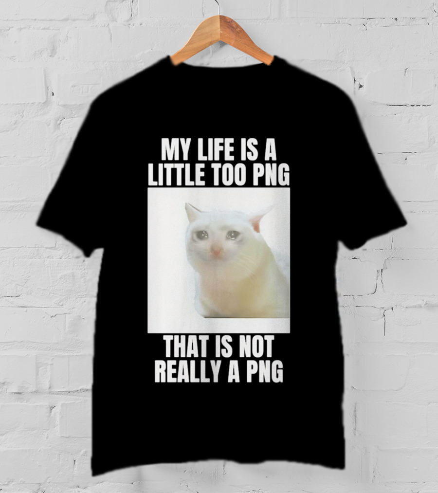My Life Is A Little Too PNG That Is Not Really A PNG Cat Meme T-Shirt