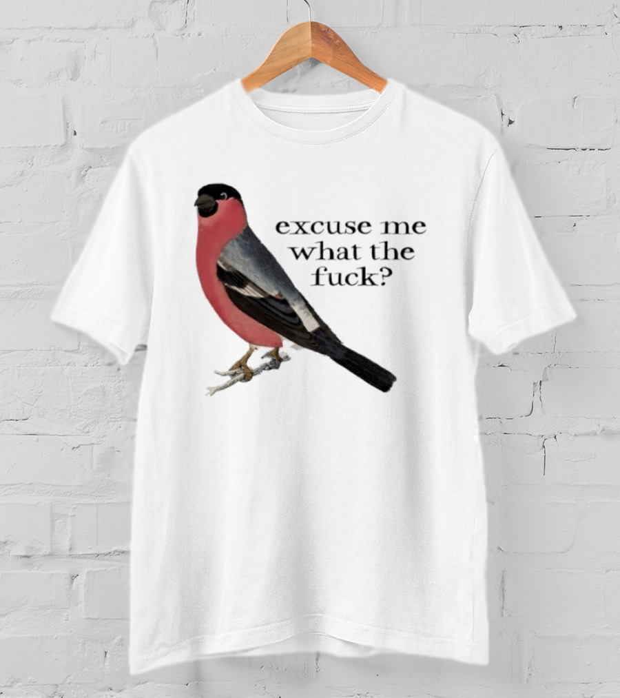 Eurasian Bullfinch Bird Excuse Me What The Fuck T-Shirt