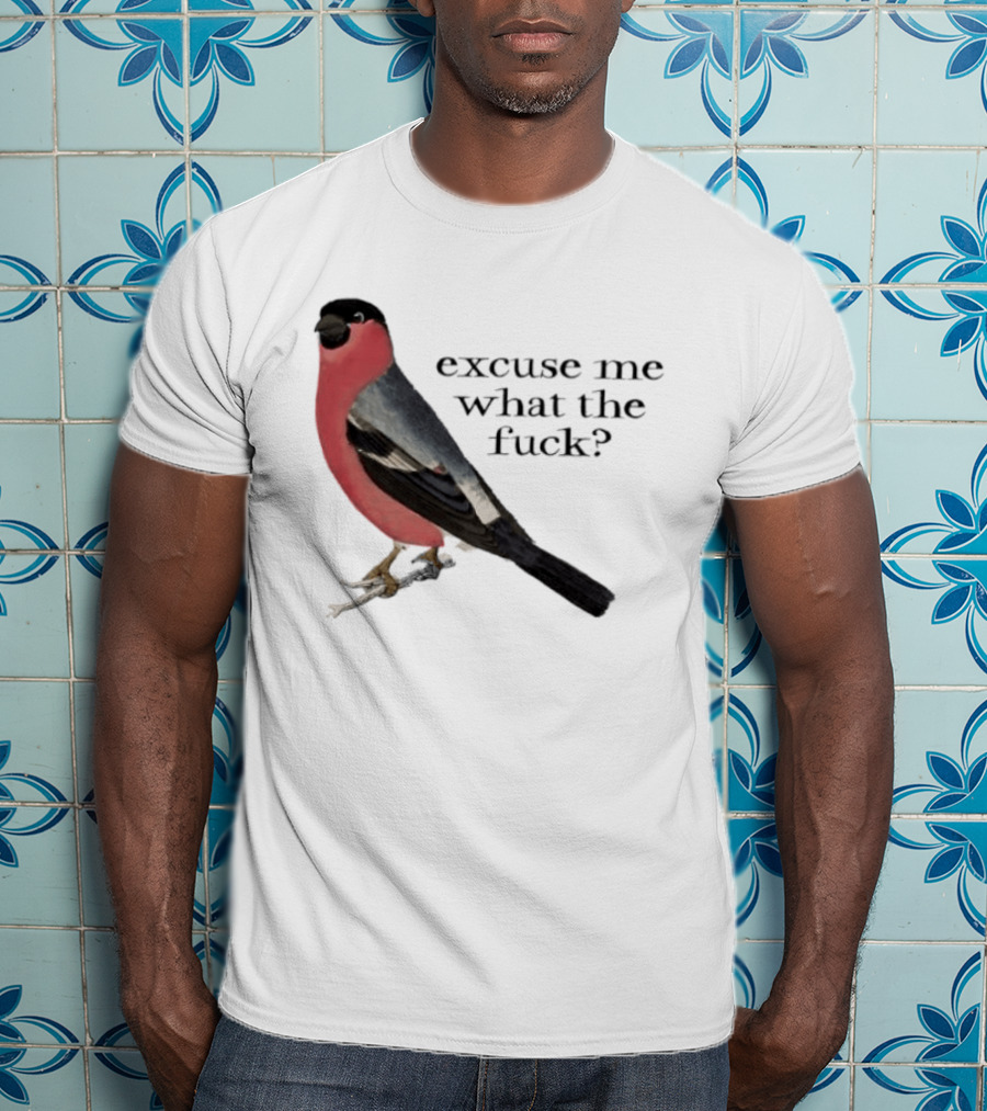 Eurasian Bullfinch Bird Excuse Me What The Fuck T-Shirt