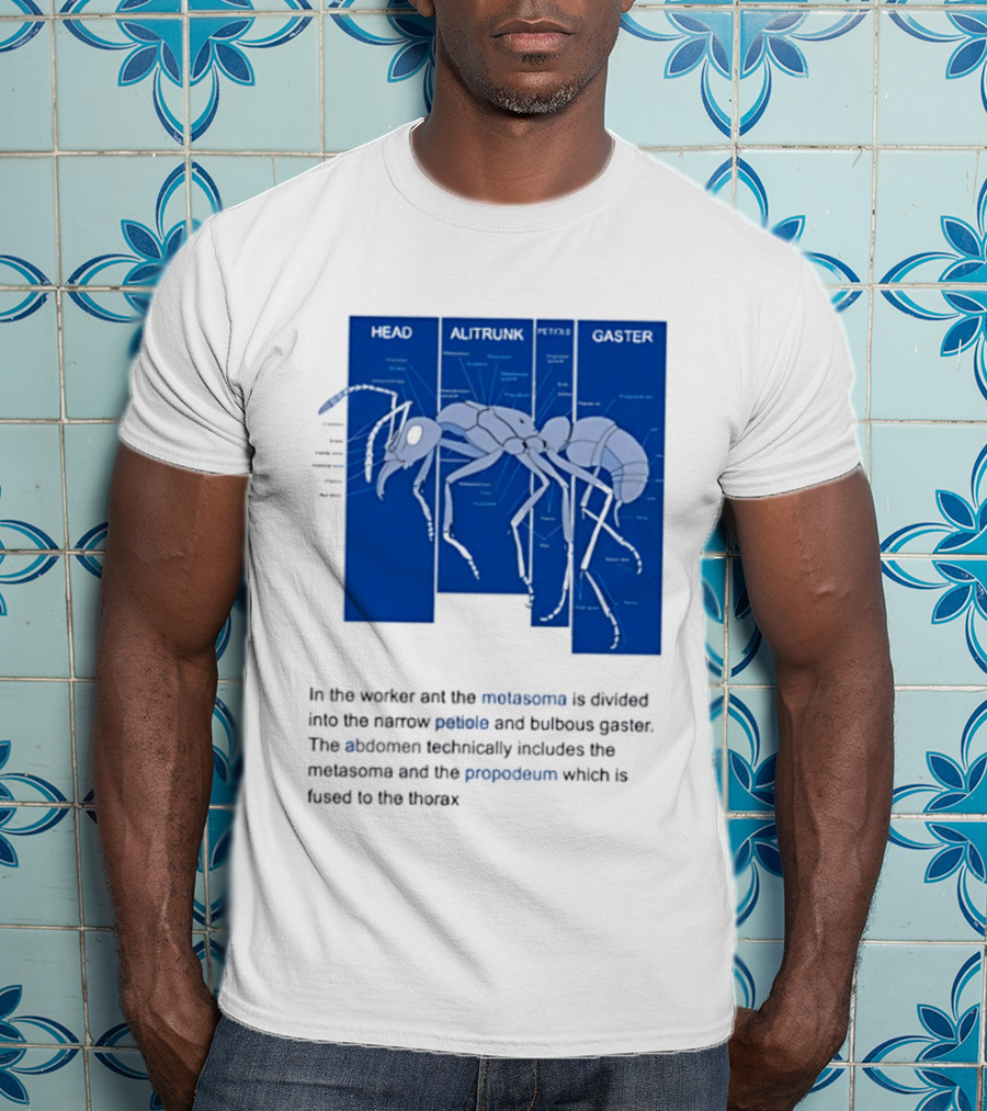 Worker Ant Diagram Head Alitrunk Gaster Metasoma Petiole Biology T-Shirt