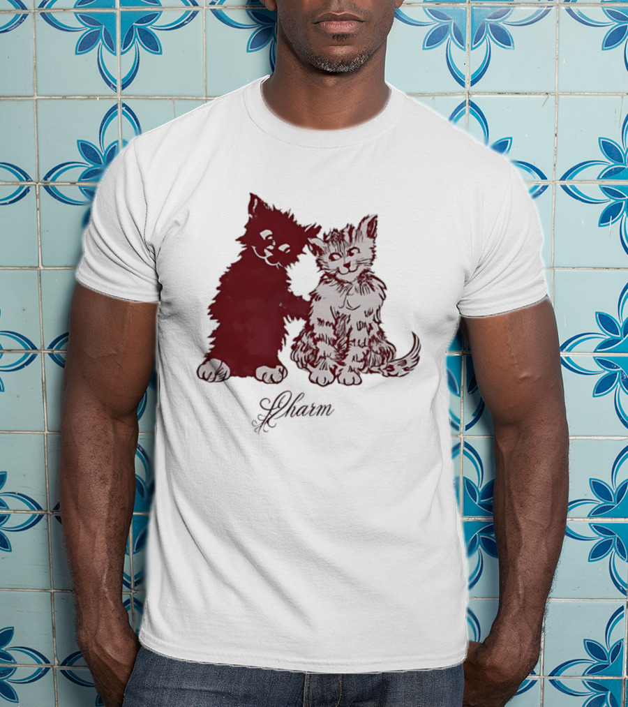 Charm Kittens Cats Hugging T-Shirt