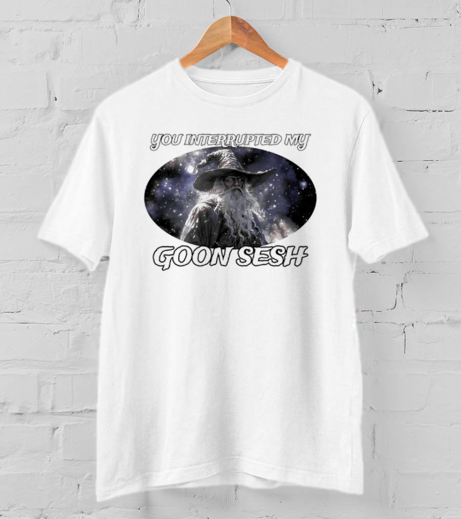 You Interrupted My Goon Sesh Wizard T-Shirt