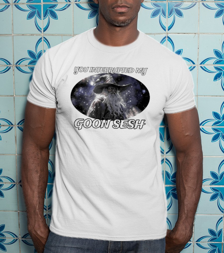 You Interrupted My Goon Sesh Wizard T-Shirt