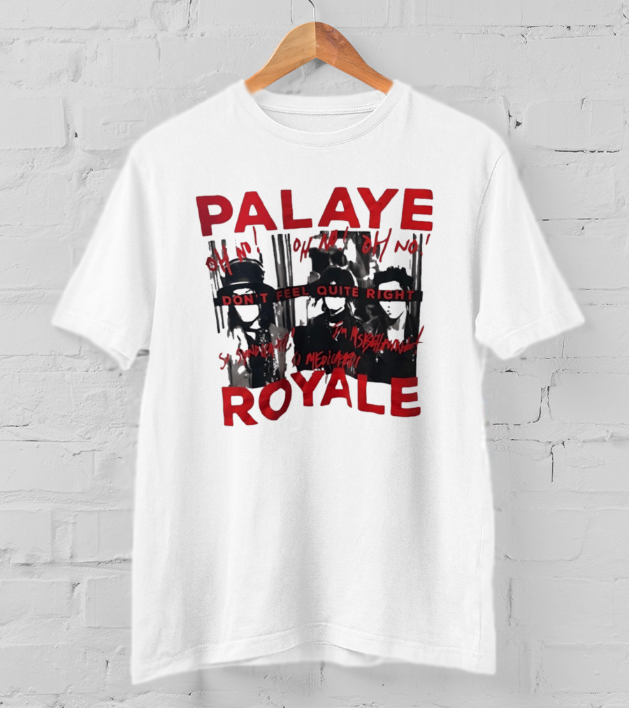 Palaye Royale Don't Feel Quite Right Oh No So Unsatisfied Misunderstood Mediocre T-Shirt