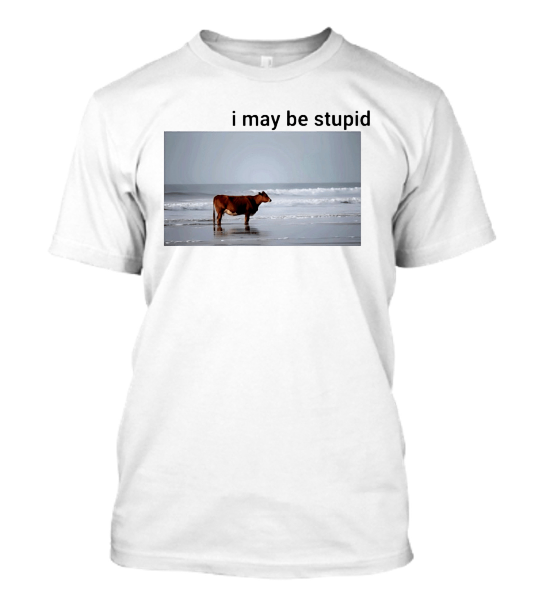 I May Be Stupid Cow At The Beach T-Shirt