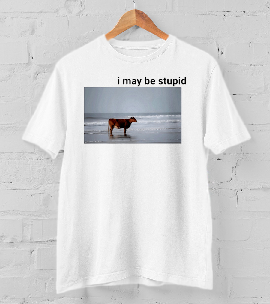 I May Be Stupid Cow At The Beach T-Shirt