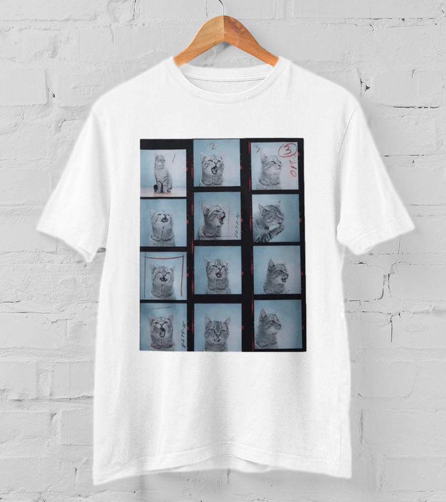 Tabby Cat Film Strip Series With Numbered Frames And Annotations T-Shirt