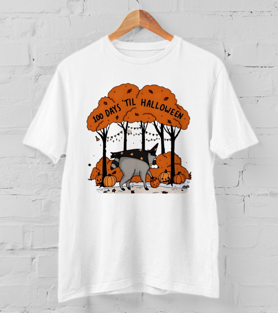 100 Days 'til Halloween Raccoon Wizard Costume In Pumpkin Patch Forest T-Shirt