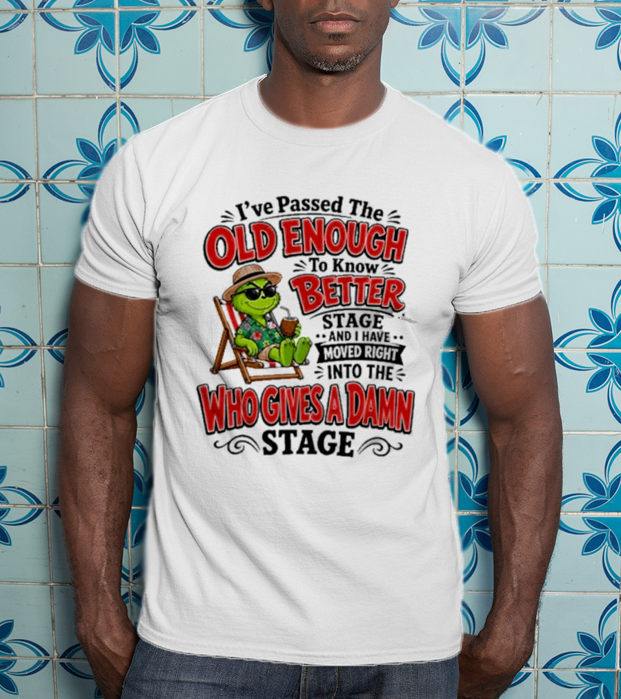 I've Passed Into The Grinch Old Enough To Know Better Who Gives A Damn Stage T-Shirt