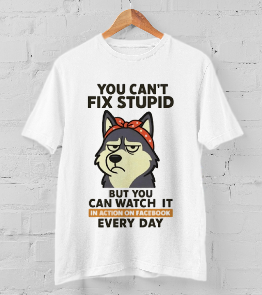 You Can't Fix Stupid But You Can It Every Day Husky T-Shirt