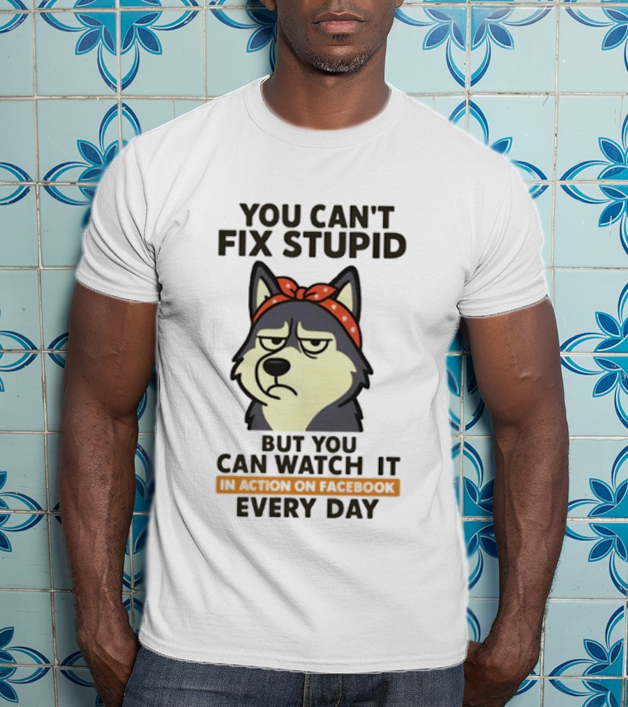 You Can't Fix Stupid But You Can It Every Day Husky T-Shirt