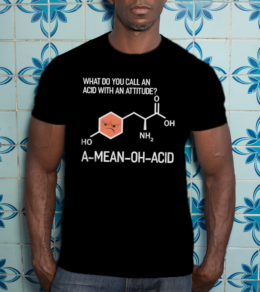 What Do You Call An Acid With An Attitude A Mean Oh Acid Chemistry Pun T-Shirt