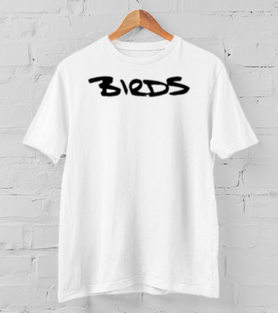 Turnstile Store Turnstile Birds Painting T-Shirt