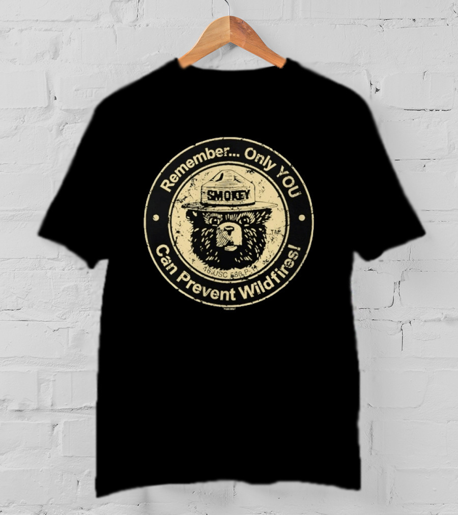 Remember Only You Can Prevent Wildfires Distressed Smokey Bear 16 USC 580p 11 T-Shirt