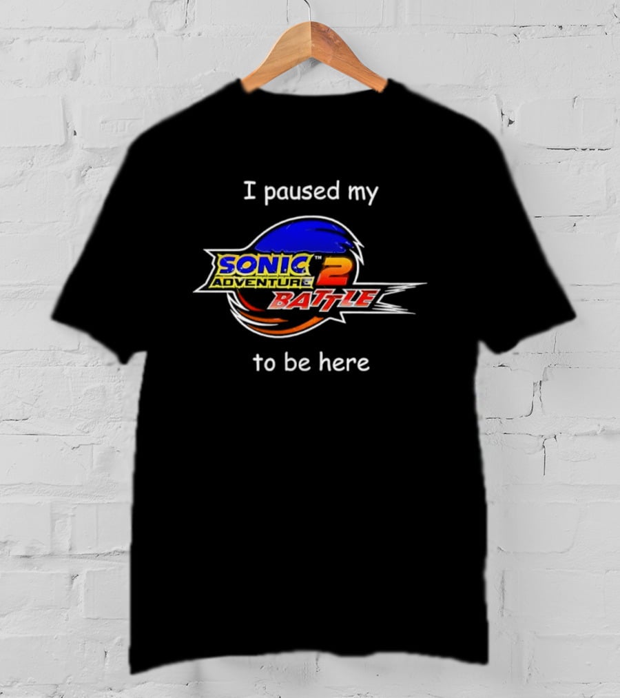 I Paused My Sonic The Hedgehog 2 Battle To Be Here T-Shirt
