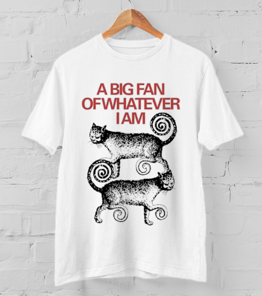 A Big Fan Of Whatever I Am Spiral Cats T-Shirt