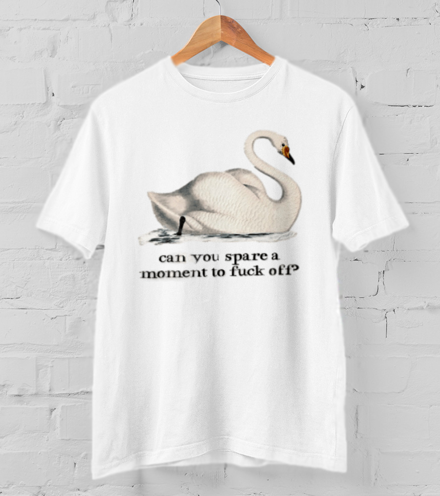 Can You Spare A Moment To Fuck Off White Swan Floating Water T-Shirt