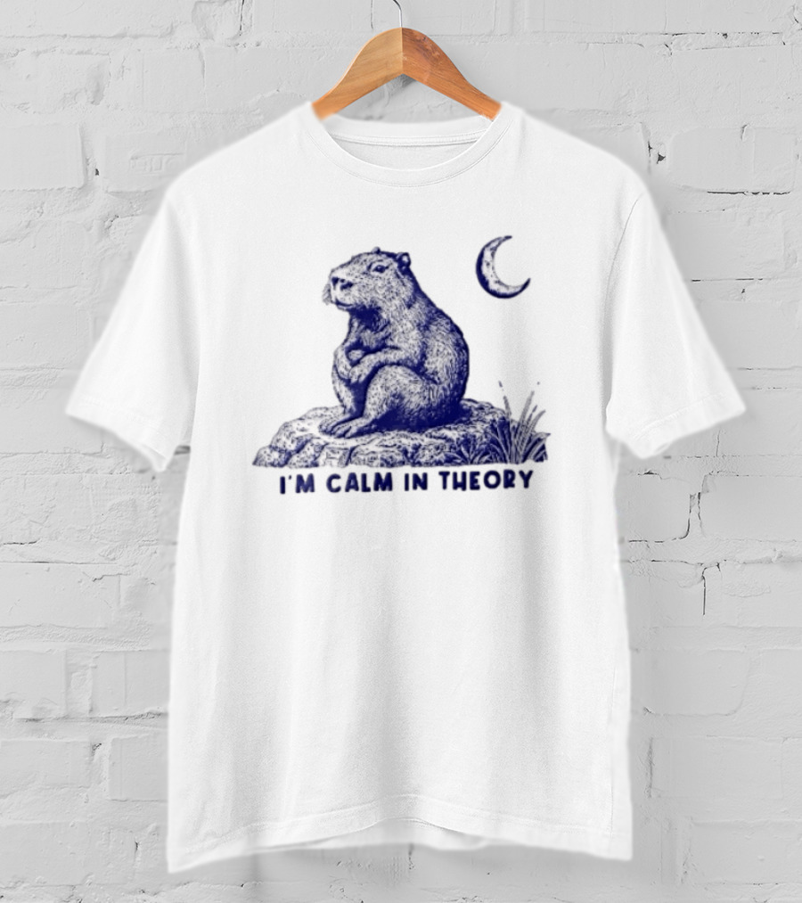I'm Calm In Theory Capybara Sitting On Rock Under Crescent Moon T-Shirt