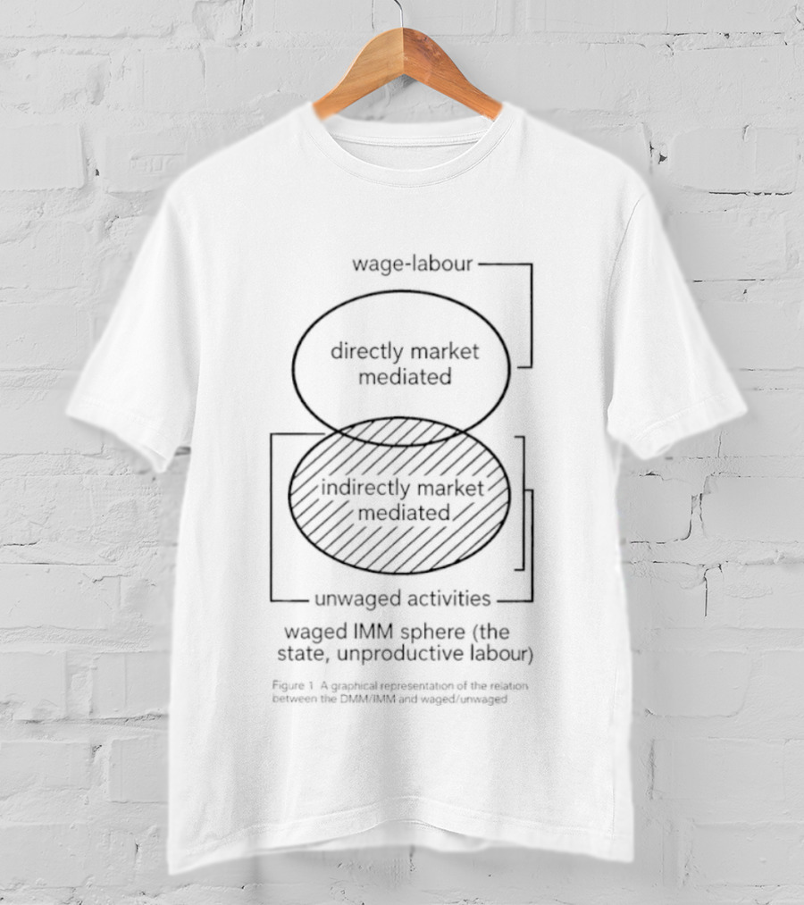 Wage Labour Directly And Indirectly Market Mediated Unwaged Activities Spheres T-Shirt