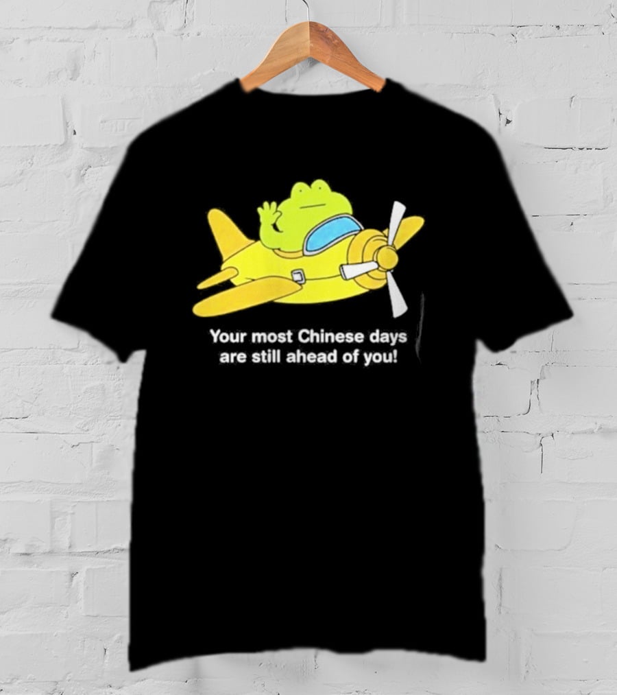 Frog Your Most Chinese Days Are Still Ahead Of You Airplane Scene T-Shirt