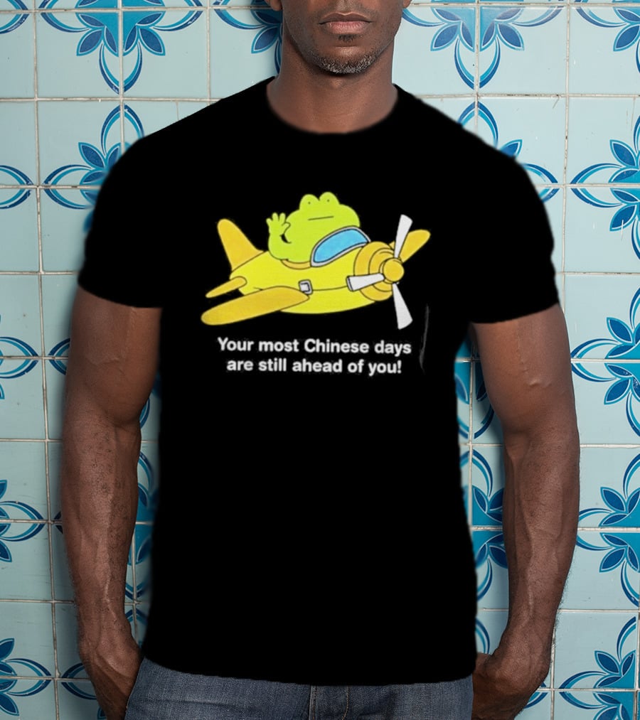 Frog Your Most Chinese Days Are Still Ahead Of You Airplane Scene T-Shirt