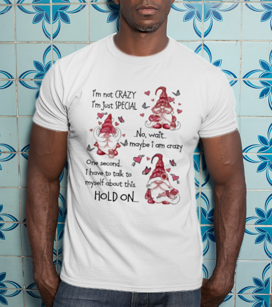 I'm Not Crazy I'm Just Special Gnome No Wait Maybe I Am Crazy Hold On T-Shirt