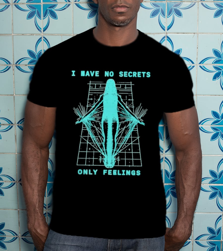Phoebe Bridgers I Have No Secrets Only Feelings 2026 The Lost Tour T-Shirt