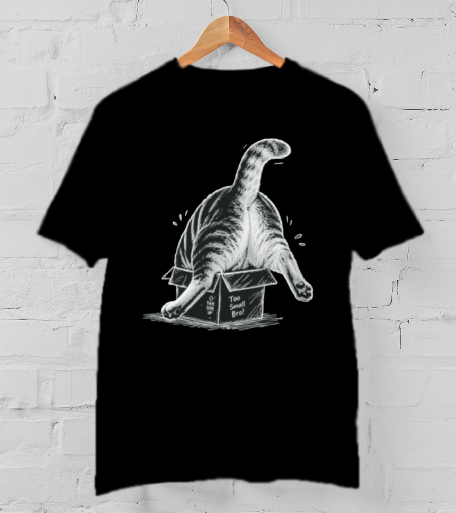 Too Small Bro Tabby Cat Stuck In Box Rear View T-Shirt