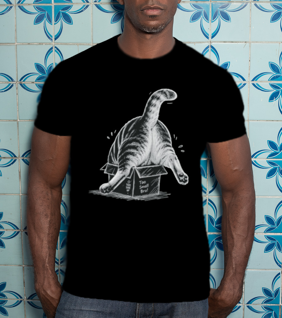 Too Small Bro Tabby Cat Stuck In Box Rear View T-Shirt