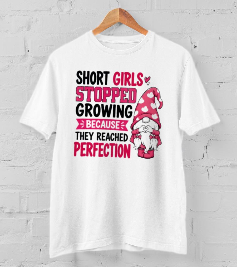 Short Girls Stopped Growing Because They Reached Perfection Gnome Heart Hat T-Shirt