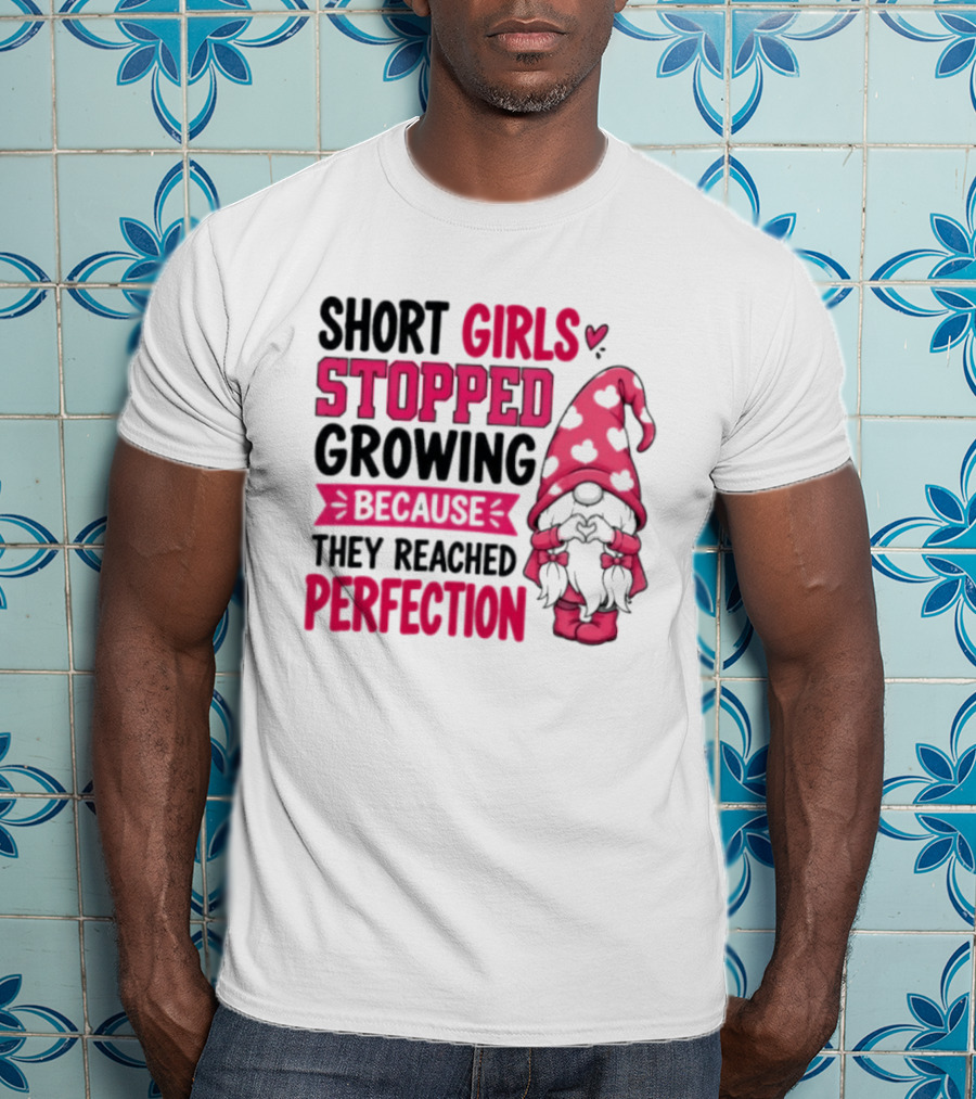 Short Girls Stopped Growing Because They Reached Perfection Gnome Heart Hat T-Shirt